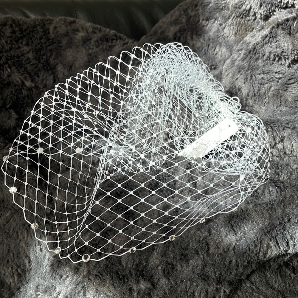 White Birdcage Veil NWT